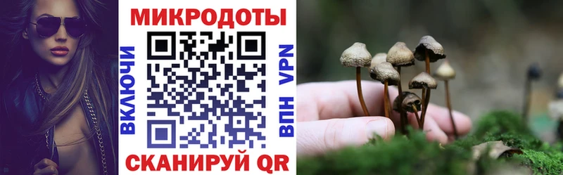 Купить где  Дагестанские Огни  Галлюциногенные грибы мицелий 
